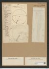 Coscinodiscus oculus-iridis Ehr. (de-Toni-Nr.: Genus 202, Species 5054) Zeichnungen Sammlung Grunow Nr. 8804 (NHMW-BOT-W0378410)